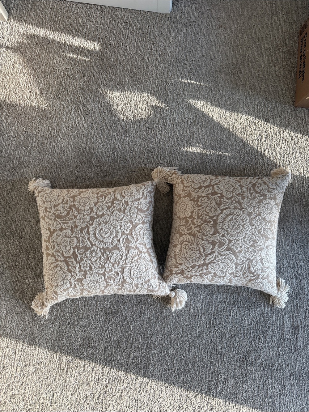 Neutral Cream Floral Tassel Throw Pillow Pair - Brand